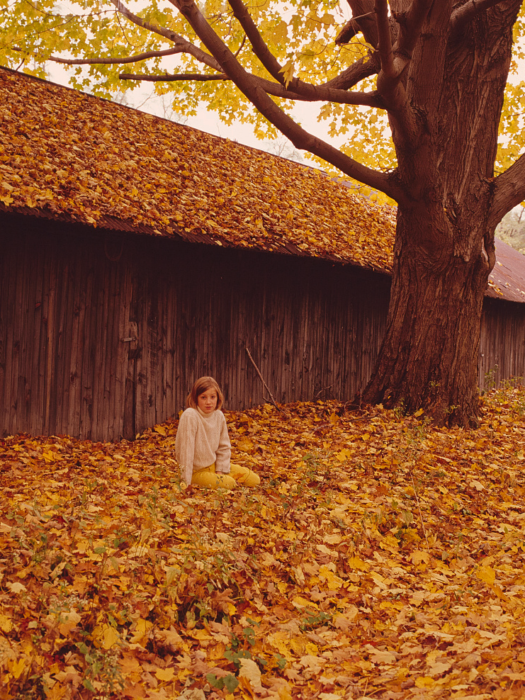 Child sitting among fallen autumn leaves beside a barn in Sherrewogue, St. James, Long Island, New York (LOC tofr.49973).